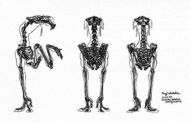 Медиапроект s-t-o-l.com